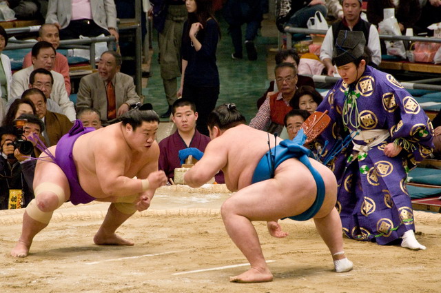 sumo - môn thể thao dân tộc của đất nước mặt trời mọc
